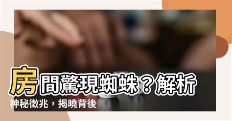 房間有蜘蛛代表 房間貼磁磚風水